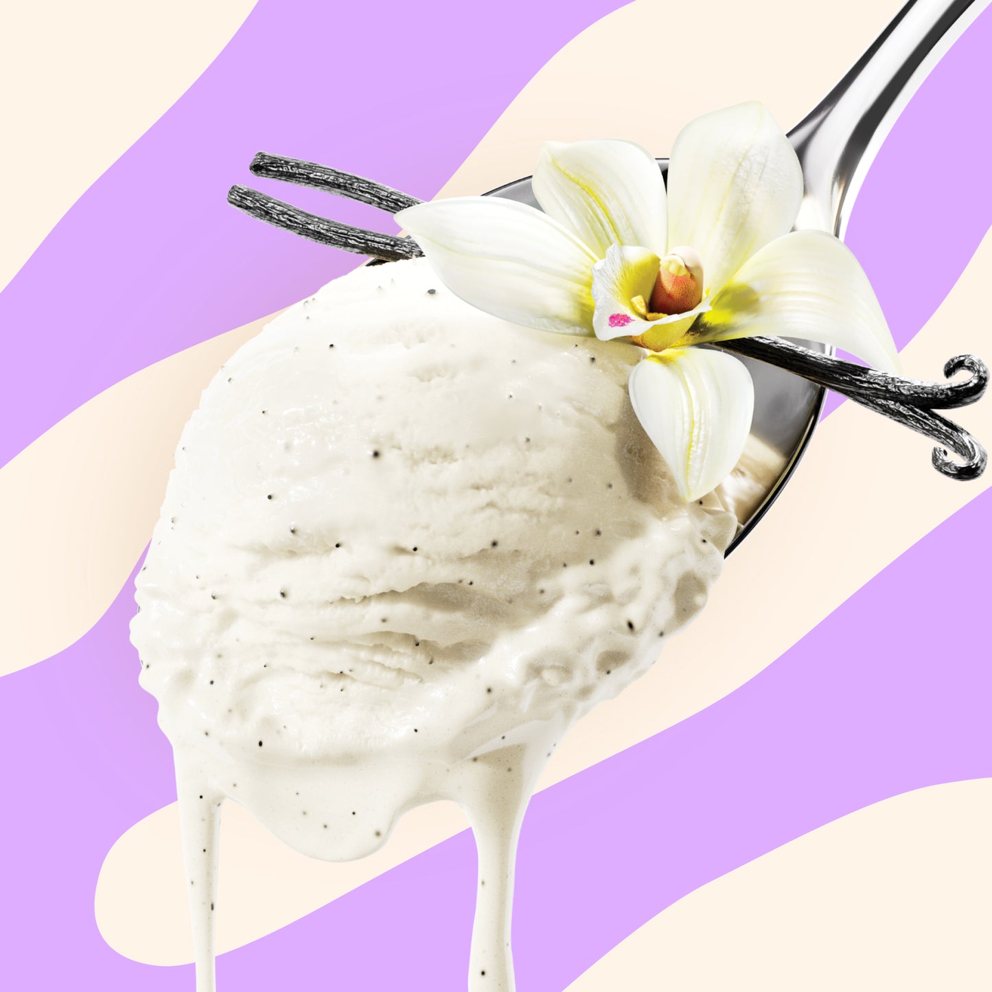 NICK'S Vanilla Bean 473ml